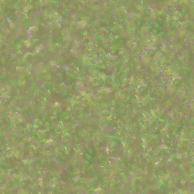 Moss_CO.png
