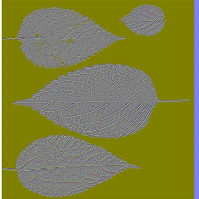 nettle_na.png