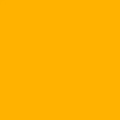 icon.png